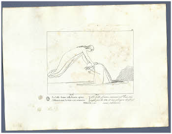 Visualizza l'immagine "Albo D 278, tav. 81"